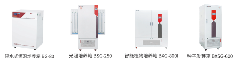 1748403739762163.png 种子发芽与生长实验.png