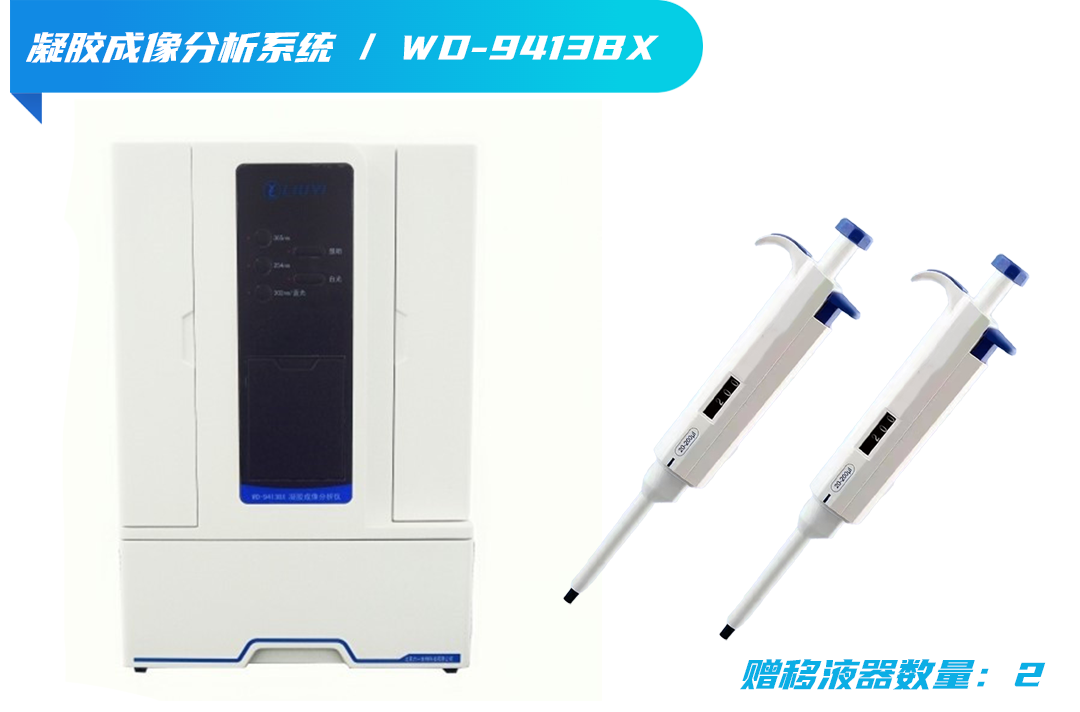 凝胶成像分析系统3.png
